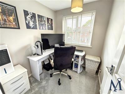 Picture 15